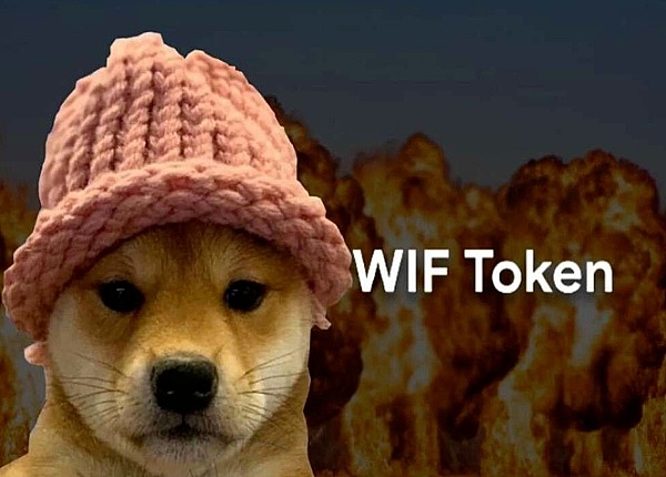 FD币：华尔街新宠背后的财富逻辑